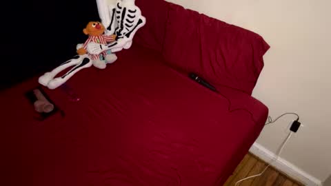 Nymphaea online show from 02-16-26, 11:34