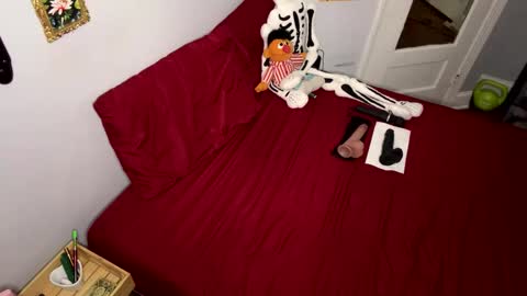 Nymphaea online show from 04-19-26, 10:56