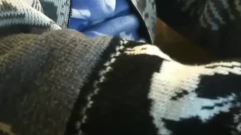 Snapshot of o0okukito0o chatting on 01-14-25, 10:55 o0okukito0o online show from 01-14-25, 10:55