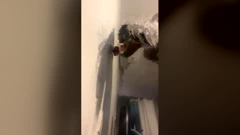 Snapshot of octavia_cd chatting on 12-14-25, 09:03 Kira online show from 12-14-25, 09:03