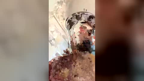 ogkftp online show from 04-20-26, 01:58