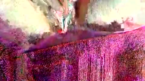 ohlalamama13 online show from 03-17-26, 09:51