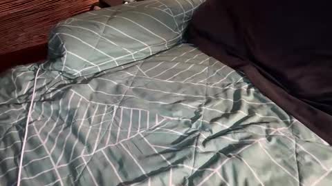 ohyea online show from 03-06-26, 02:41