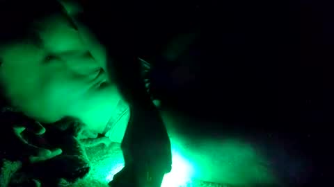 Snapshot of oibrev49 chatting on 03-21-26, 09:03 oibrev49 online show from 03-21-26, 09:03