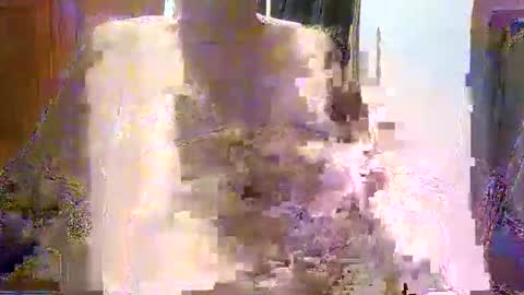 William online show from 12-21-25, 07:48