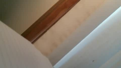 olddognewtrickss online show from 09-11-25, 08:42