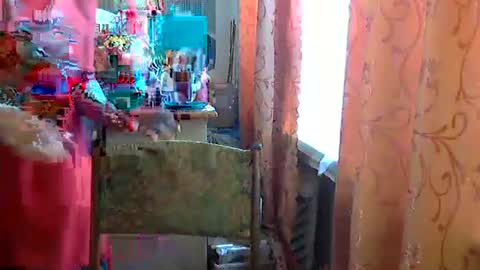 Olivia Mia online show from 04-24-26, 08:50