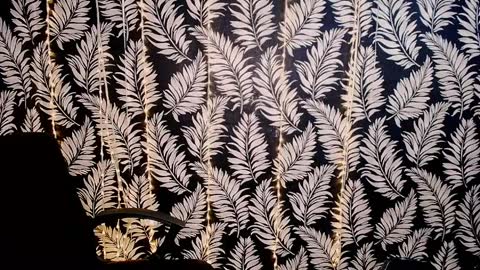 Kelly online show from 04-07-26, 10:37