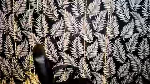 Snapshot of oliviaoskar_ chatting on 07-24-26, 02:04 Kelly online show from 07-24-26, 02:04