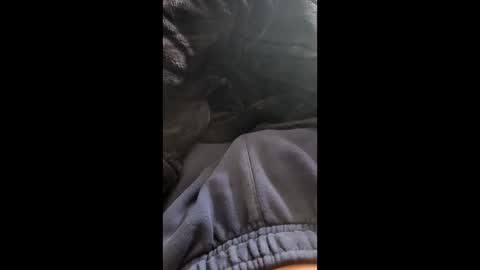 Snapshot of onlybigdickdaniel chatting on 05-28-26, 01:25 onlybigdickdaniel online show from 05-28-26, 01:25