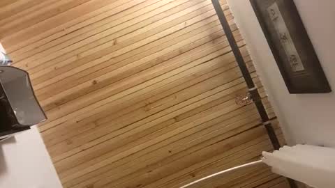 TrueBilyeu29 online show from 04-20-26, 08:28