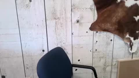 Snapshot of openmindedcowboy chatting on 11-01-25, 03:25 kinkynerd online show from 11-01-25, 03:25