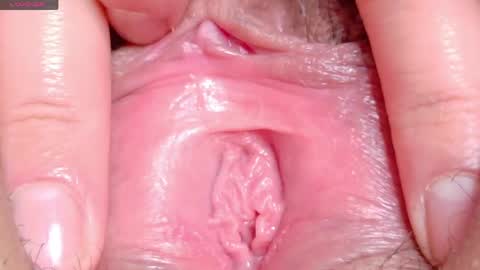 orchidekitty online show from 04-29-26, 09:10