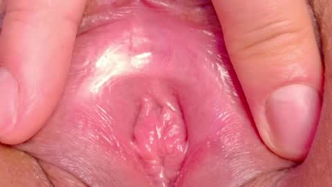 orchidekitty online show from 05-31-26, 01:03