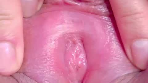 orchidekitty online show from 06-11-26, 01:16