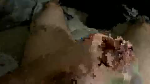 orgasaman2169 online show from 02-19-25, 01:51