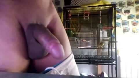 Snapshot of orlandovilla48 chatting on 10-21-25, 11:55 orlandovilla48 online show from 10-21-25, 11:55