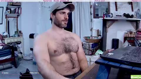 Osito Blanco online show from 05-20-26, 10:27