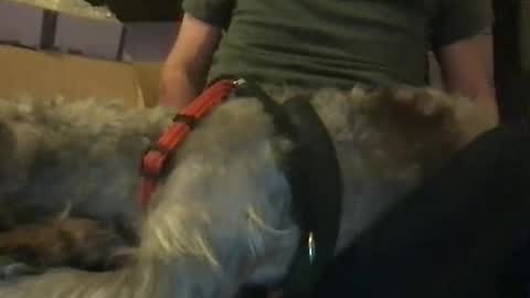 rossignol online show from 01-16-25, 06:14