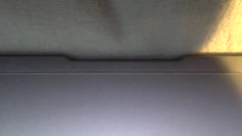 Snapshot of ottodick chatting on 01-21-25, 04:05 Otto online show from 01-21-25, 04:05