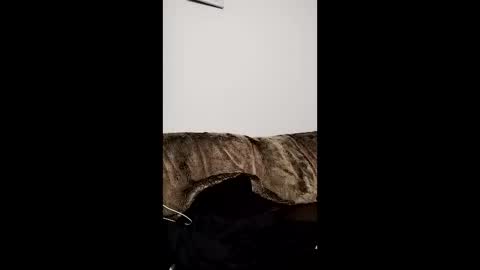 Owen kayz online show from 04-29-26, 09:21