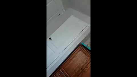 Pablo   Nina online show from 01-22-25, 05:49