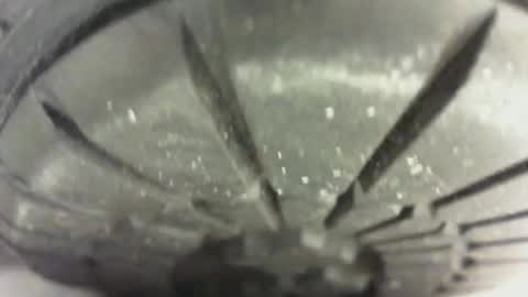 Pablo Meness online show from 01-24-25, 04:49