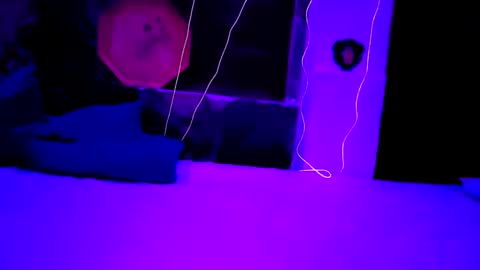pablouyu online show from 12-22-24, 05:56