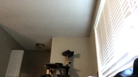 paigechantel online show from 02-19-26, 11:45