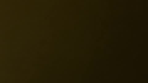 palerider269 online show from 11-19-25, 07:36