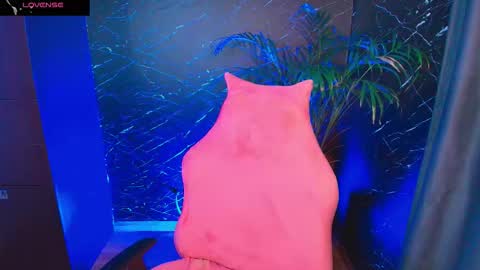 Palo Santo online show from 02-05-26, 07:35