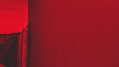  P A M  online show from 11-01-25, 04:03