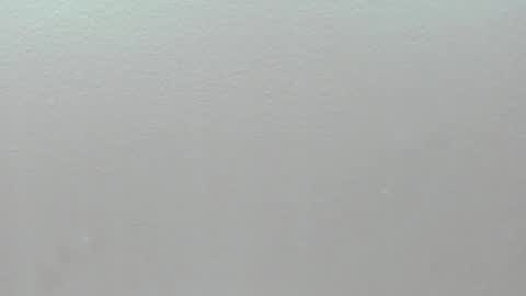  P A M  online show from 02-01-26, 04:11