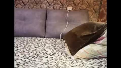 Snapshot of pancamo1000 chatting on 01-05-25, 06:45 Pancamo online show from 01-05-25, 06:45