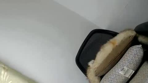 Snapshot of papigoddesslover chatting on 01-20-25, 04:55 Fina Dwarf online show from 01-20-25, 04:55