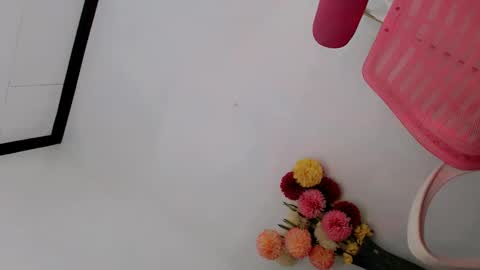 Snapshot of papigoddesslover chatting on 02-25-25, 10:58 Fina Dwarf online show from 02-25-25, 10:58