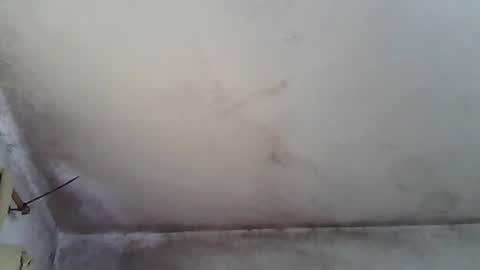 Snapshot of pareja201722 chatting on 12-31-24, 04:25 pareja201722 online show from 12-31-24, 04:25