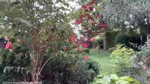 Snapshot of patry333 chatting on 06-04-26, 05:57 Andreea online show from 06-04-26, 05:57