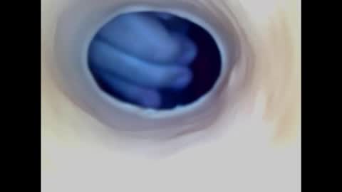 Paula 18 Aninhos online show from 02-01-25, 07:44