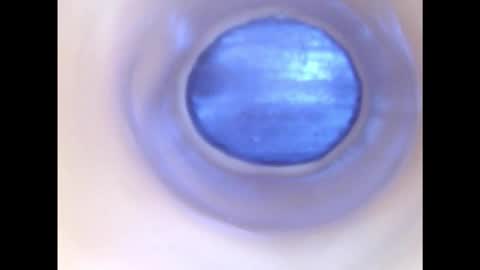 Paula 18 Aninhos online show from 12-02-25, 02:28