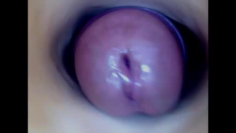 Paula 18 Aninhos online show from 02-05-26, 10:47