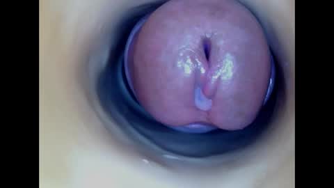 Paula 18 Aninhos online show from 04-13-26, 04:07