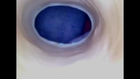Snapshot of paulainoscente chatting on 04-29-26, 05:30 Paula 18 Aninhos online show from 04-29-26, 05:30