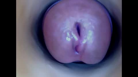 Snapshot of paulainoscente chatting on 05-17-26, 02:35 Paula 18 Aninhos online show from 05-17-26, 02:35