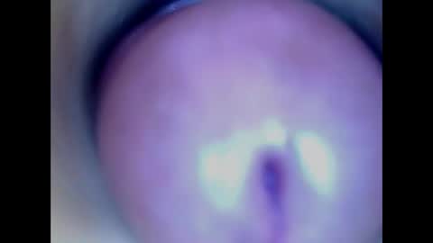 Snapshot of paulainoscente chatting on 05-18-26, 02:40 Paula 18 Aninhos online show from 05-18-26, 02:40