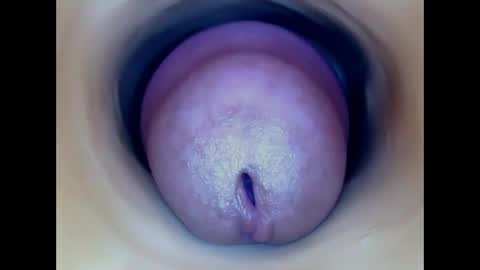Snapshot of paulainoscente chatting on 05-20-26, 03:13 Paula 18 Aninhos online show from 05-20-26, 03:13