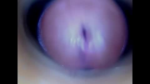 Snapshot of paulainoscente chatting on 05-21-26, 01:51 Paula 18 Aninhos online show from 05-21-26, 01:51