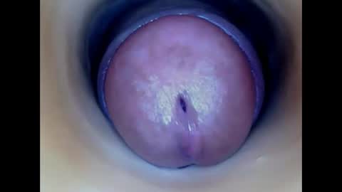 Snapshot of paulainoscente chatting on 05-22-26, 06:46 Paula 18 Aninhos online show from 05-22-26, 06:46