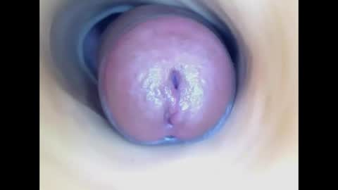 Snapshot of paulainoscente chatting on 05-31-26, 05:09 Paula 18 Aninhos online show from 05-31-26, 05:09