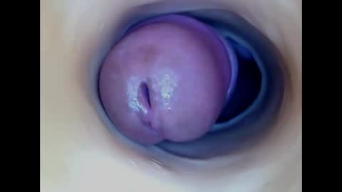 Snapshot of paulainoscente chatting on 05-31-26, 09:38 Paula 18 Aninhos online show from 05-31-26, 09:38